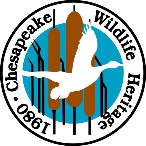 Designing, Building, and Managing Wildlife Habitat for the Chesapeake Bay area.