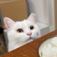 xiahiroko (@westriver1984) 's Twitter Profile Photo