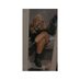 Morgan Mairs (@morganmairs3) Twitter profile photo Morgan Mairs (@morganmairs3) Twitter profile photo
