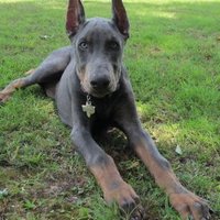 Ellwood Friedlein (@friedlein54) 's Twitter Profile Photo