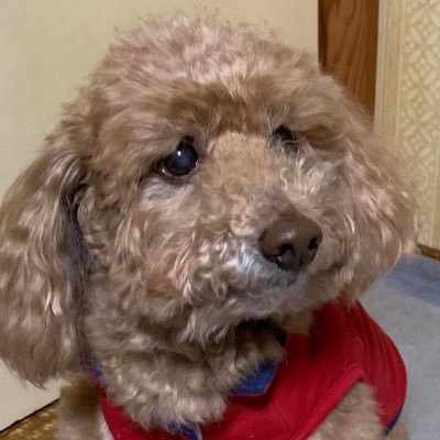 ki_0324's profile picture. 