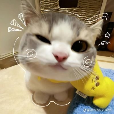 RolindaC21258's profile picture. guess who iam