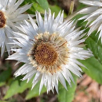 VisionInsight11's profile picture. 