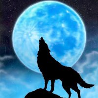 ユキ (@yukigames0222) 's Twitter Profile