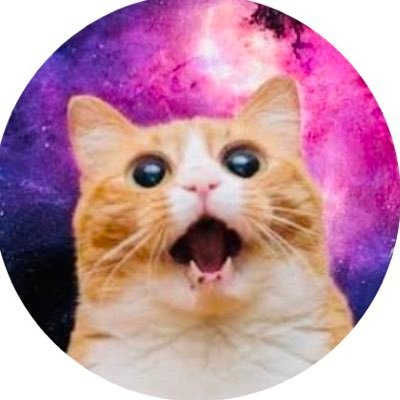 まんまる黒だぬきさんのプロフィール画像