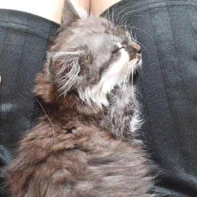 PpBx8k6MW8Mcbus's profile picture. 