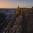 dik_photo