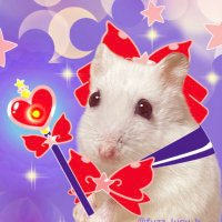 甘夏🐹ハムスター雑貨作ってます (@fuzz_lucy_b) 's Twitter Profile