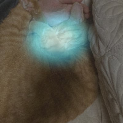 muu_cixo's profile picture. レモン🍋シナモンフレンズ すき⸜(๑⃙⃘'ᵕ'๑⃙⃘)⸝⋆︎*