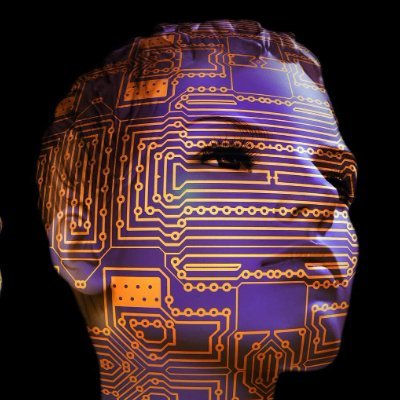 SelimEvlat's profile picture. Algorıtma ve Robotlar