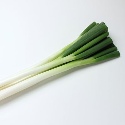 ZiCan11395's profile picture. ツイキャス
YouTube用アカウント