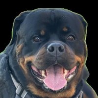 Taurino-Roque (@elreydeopciones) 's Twitter Profile
