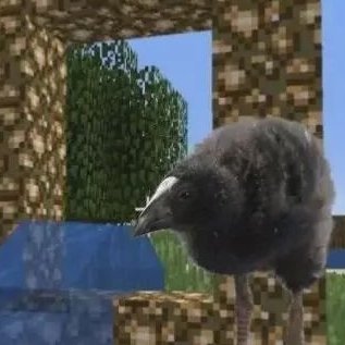 nootnute1's profile picture. goblin caught on tape