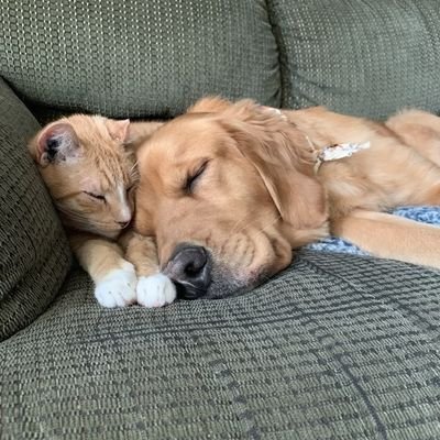 bn_sennnn's profile picture. ʟᴜᴠ🐶🦋ʟɪɴɢᴏʀᴍ ♡ ｡ﾟ･ʚɞ⋆. 𐙚
🐻ɴᴀᴍɴᴇᴜɴɢɴᴏᴇʏ🐸 ੈ✩‧₊˚