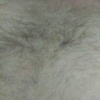 Teddy Bare Man (@teddybareman43) 's Twitter Profile