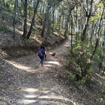 bayfi87's profile picture. 