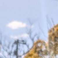 Hamnuts (@hamkatsub) 's Twitter Profile