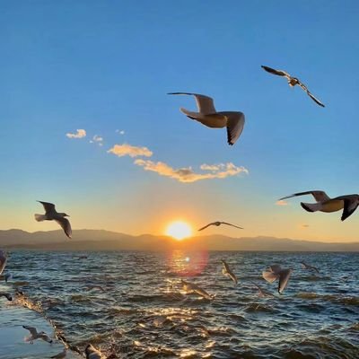 cpdd80's profile picture. 