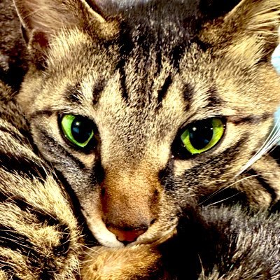 Second_stage_22's profile picture. 東京・神奈川中心｜長期修繕計画見直し専門｜一級建築士が対応｜マンション修繕に挑む独立系一級建築士事務所｜元職人｜資本に頼らず自分の力で業界の壁を超える！前向き＆効率重視の毎日。 中立な立場で管理組合・管理会社をサポート #大規模修繕 ＃長期修繕計画 #マンション管理 #第三者チェック