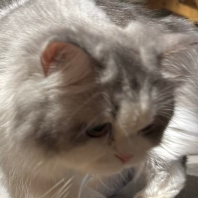 waa_me__'s profile picture. おいしいものとすきなもの