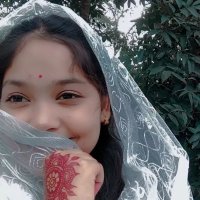 Shima Dev8 (@sdev856717) 's Twitter Profile