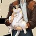 frying pan🍳🐾 (@yiguosubs) Twitter profile photo frying pan🍳🐾 (@yiguosubs) Twitter profile photo