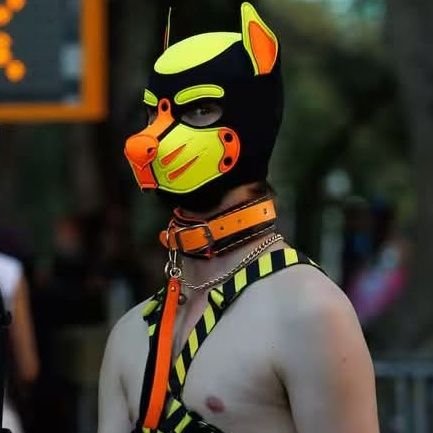 Pup Ember Profile