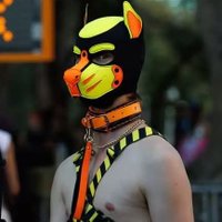 Pup Ember (@bigyellowpupper) 's Twitter Profile