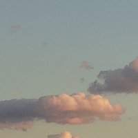 ここみ (@hannn_coco) 's Twitter Profile
