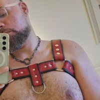 GengarBear π (@geekbear1987) 's Twitter Profile