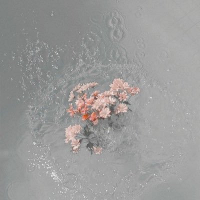 義務教育終了済20↓⌇他界隈お取引50↑⌇🥷🥚♡.hty⌇浮上≠返信⌇2日以内に返信が無い場合 再度ご連絡お願い致します✩.*˚