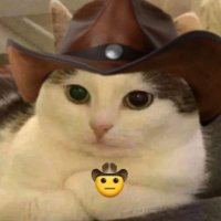 bibica ❯❯❯❯ (@gabiabobrinhas) 's Twitter Profile Photo bibica ❯❯❯❯ (@gabiabobrinhas) 's Twitter Profile Photo