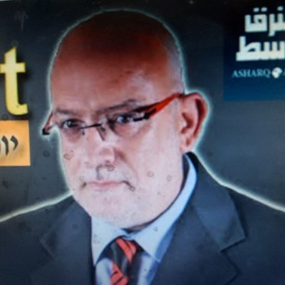 עיתונאי ומזרחן,אסטרטגיה פוליטית, מודיעין ולוחמה בטרור, תקשורת, פתרון סכסוכים