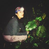 Ximena Herrera - Alvarez (@xherreraa) 's Twitter Profile