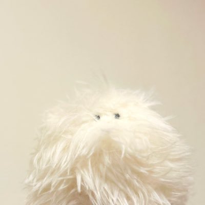 nuimofu730's profile picture. ぬい活オタ活の記録🔖.· ｜シルバニアはシルクネコちゃん推し🫰🏻💗本を読むのも好き。おでかけしたりおいしいものたべたり。無言F失礼します-`🙏´-