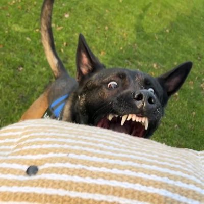 Ramon2912's profile picture. 