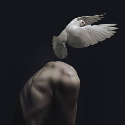 HOSSEIN_2005SH's profile picture. 𝘋𝘦𝘴𝘵𝘳𝘰𝘺 𝘺𝘰𝘶𝘳𝘴𝘦𝘭𝘧 𝘵𝘰 𝘣𝘶𝘪𝘭𝘥 𝘺𝘰𝘶𝘳𝘴𝘦𝘭𝘧🌱.