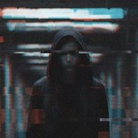 Stray (@straykat73) 's Twitter Profile