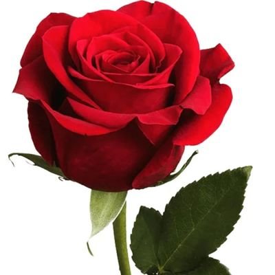 قربانی دستگاه ظالم قضاییه ظلم گستر پژوهشگر ومبتکر
