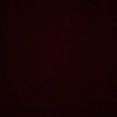giandinotto's profile picture.