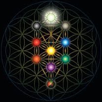 Z1Zohar's profile picture. Knowledge Of God Is Everything. Student Of The Kabbalah.