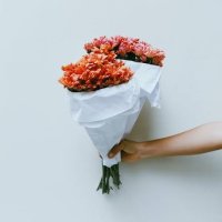 ko (@tsktkdsin) 's Twitter Profile