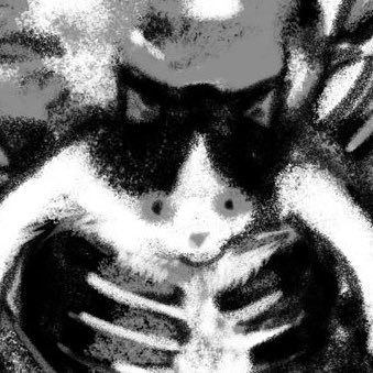 んめ👁さんのプロフィール画像