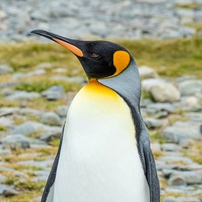 rahul_bals21832's profile picture. 