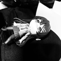 ラインハルト (@tokorodadosukoi) Twitter profile photo
