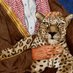 🐪زَيّاد/١٧٢٧م (@1139h_c) Twitter profile photo 🐪زَيّاد/١٧٢٧م (@1139h_c) Twitter profile photo