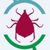 acarological_studies (@acarological_s) Twitter profile photo acarological_studies (@acarological_s) Twitter profile photo