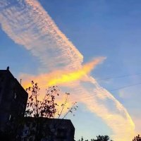 Phoenix⛪ (@ramsey_lewis007) 's Twitter Profile