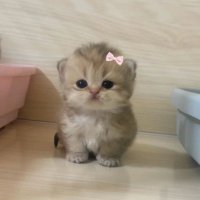 m (@mrymm_xoxo) Twitter profile photo