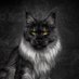 ๐๐ฮฑฦถ๐๐ผฮฑ๐แฒ๐๐๐๐ผษฆ (@crazycatbiitch) Twitter profile photo ๐๐ฮฑฦถ๐๐ผฮฑ๐แฒ๐๐๐๐ผษฆ (@crazycatbiitch) Twitter profile photo